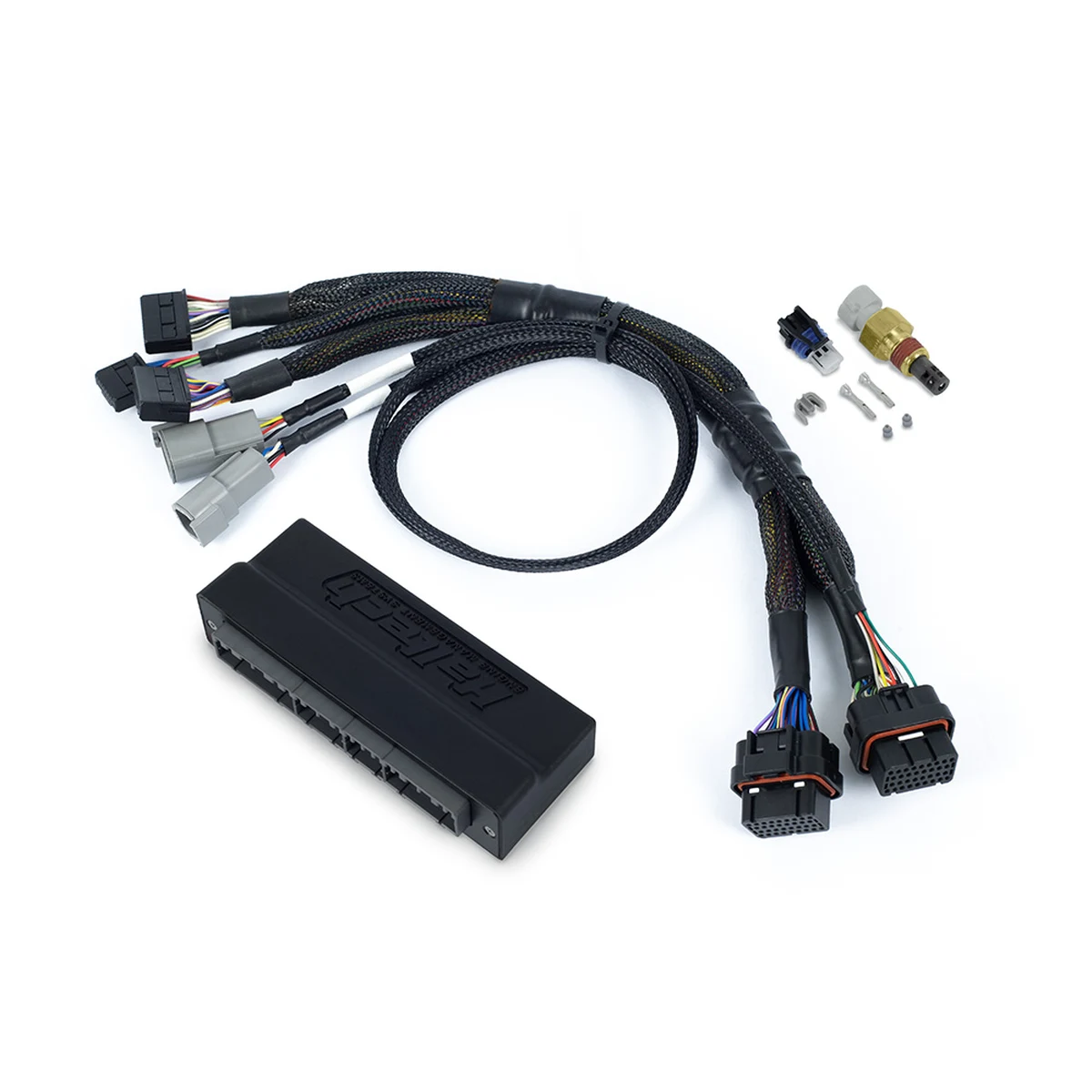 Haltech Nexus S3 plug and play adapter harness HT-186368 for 1FZ-FE FZJ80